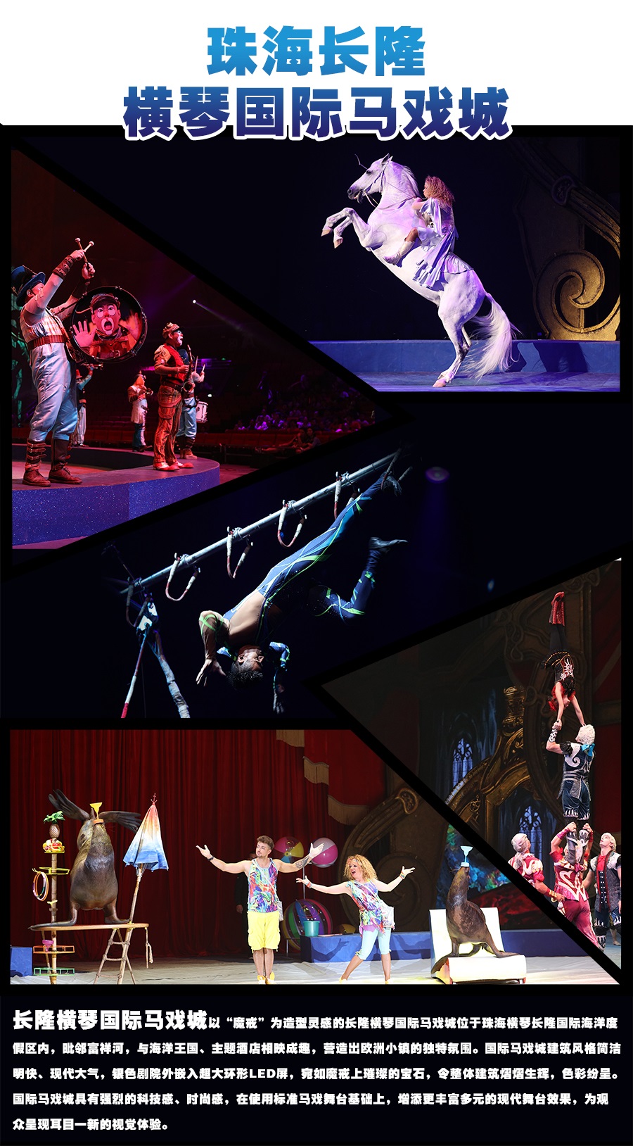 珠海横琴马戏详情图
